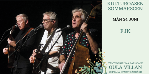 tg-cafe-musikkvallar-eventbild-2024-fjk