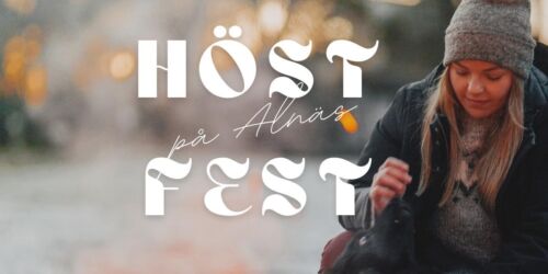 hostfest-540bf0320977357299d98d6e0d5769d7