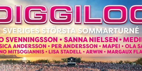 Diggiloo25_2000x667[16]