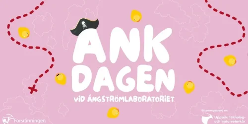 Ankdagen 2025