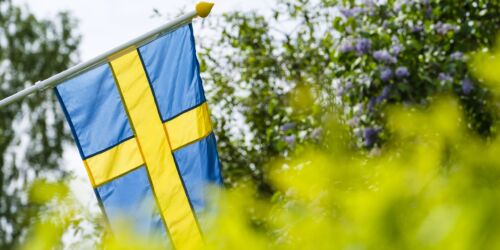 Nationaldag_bild-a9f353656127c8813e2f41a9f0052a1f-scaled