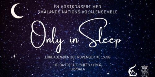 Skärmbild 2023-10-30 183039