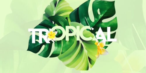 Tropical_5x7