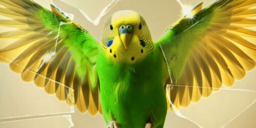 Skärmbild 2024-10-09 161617