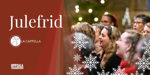Variant-2-Julefrid-FB-690x360px-960dd65ab7c3cecf3907097a8d680323
