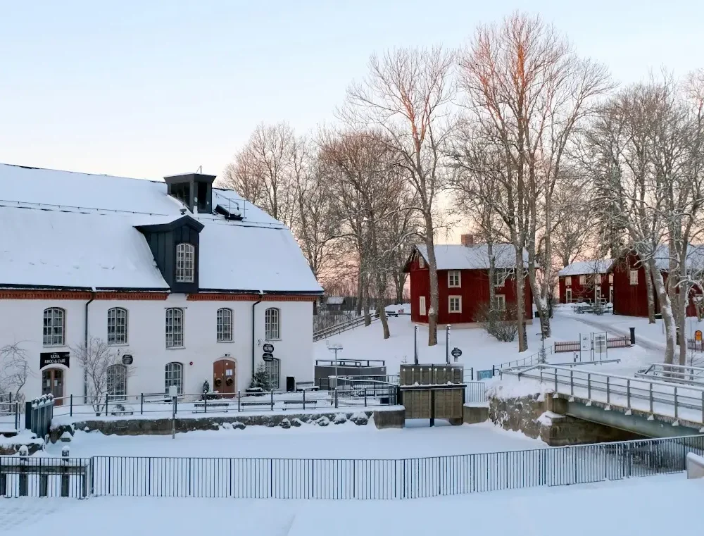 75169486_2636426479773496_7471127969675608064_n