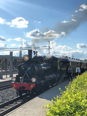 Lennakatten I uPPSALA