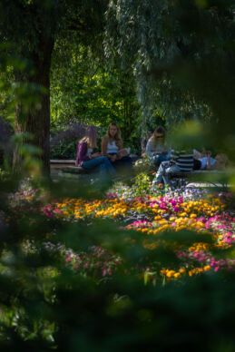 Stadsparken i Uppsala